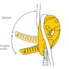 PETZL I’D® S laskeutumislaite - Image 4